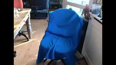 relaxyio online show from 03.10.25