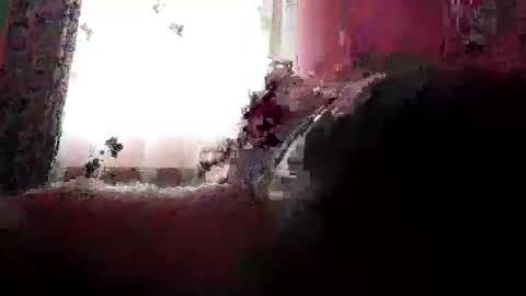 remus60 online show from 02.23.26