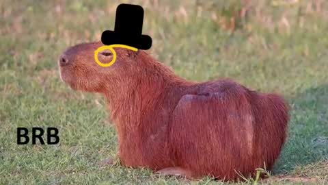 Snapshot of revivedunknown chatting on 11.15.25 Chris online show from 11.15.25