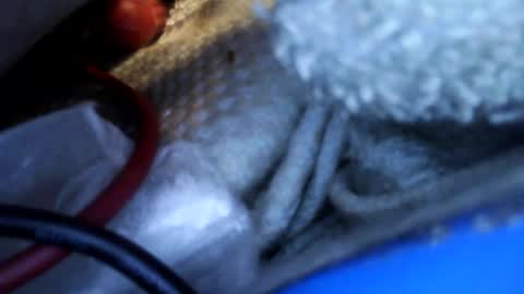 rgglen986 online show from 02.14.26