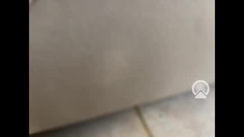 Snapshot of rgoggler2 chatting on 01.28.25 rgoggler2 online show from 01.28.25