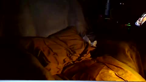 PINK HOLE TWINK online show from 03.06.26