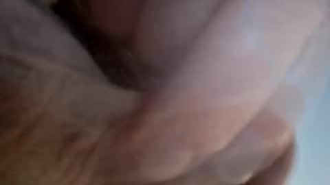 Snapshot of ridik2222333375562 chatting on 04.13.26 ridik2222333375562 online show from 04.13.26