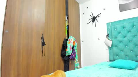 Snapshot of rihanna_hotx chatting on 11.20.25 Rihanna hotx online show from 11.20.25