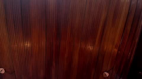 kamila online show from 12.24.24