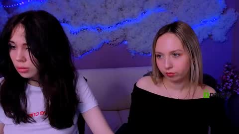 Meow online show from 03.24.26