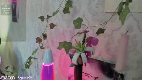 Snapshot of rileynymph chatting on 07.25.26 My name is Riley Like my broadcast pls 3 online show from 07.25.26