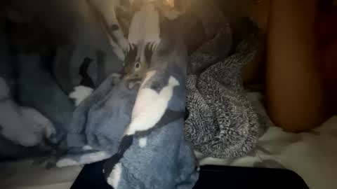 roarmance1 online show from 10.30.25