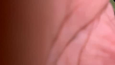 Snapshot of roberto925 chatting on 01.10.25 roberto925 online show from 01.10.25