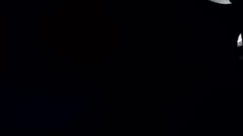 R online show from 11.14.25