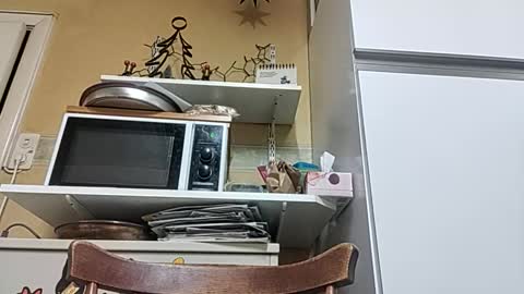 robke1966 online show from 12.23.25