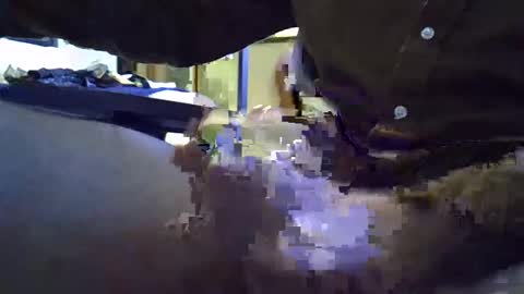 rocco981980 online show from 01.08.25