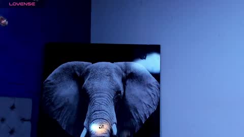 rocco_santos online show from 10.04.25