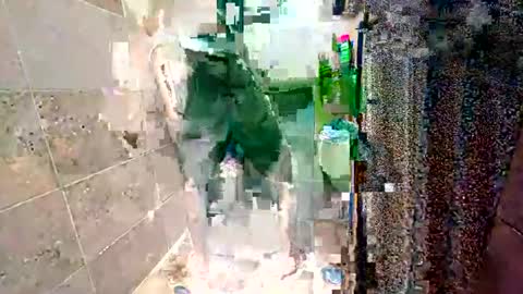 rockdrigo31 online show from 11.20.25