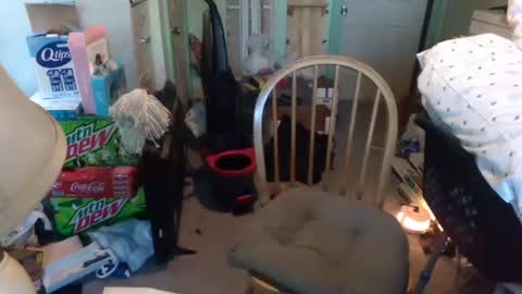 Snapshot of rocky082288 chatting on 01.09.25 rocky082288 online show from 01.09.25