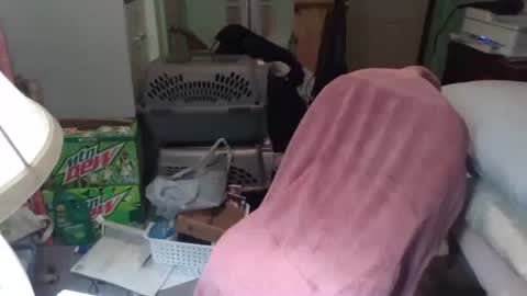 rocky082288 online show from 11.25.25