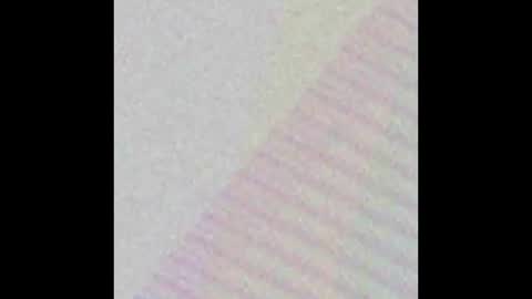 Roes Jam  Roe  online show from 12.29.24