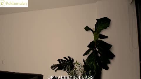 Valery Roldans online show from 02.05.25