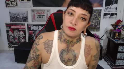 Rolly online show from 01.08.26