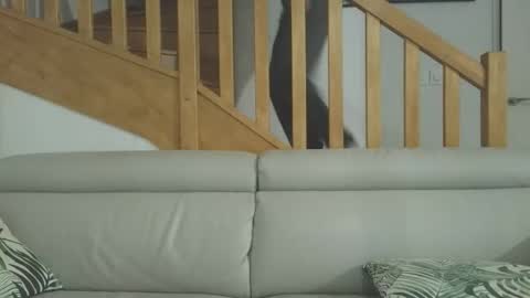 Romain online show from 03.03.26