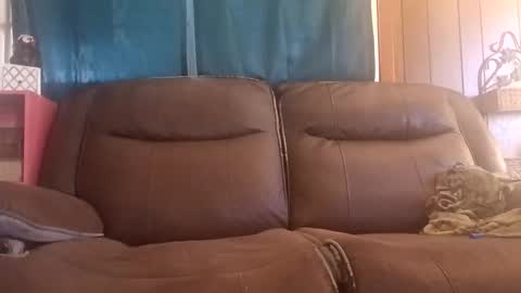 rooster14962831080 online show from 12.15.25