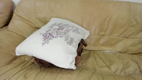 Rosa online show from 01.28.25