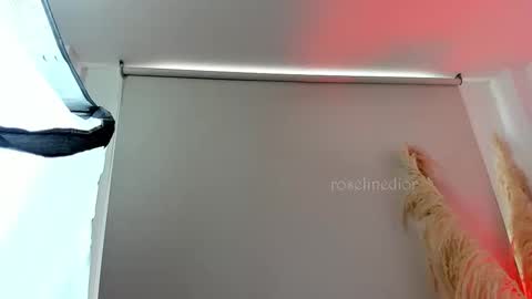 Lyla OF roselinedior online show from 09.11.25