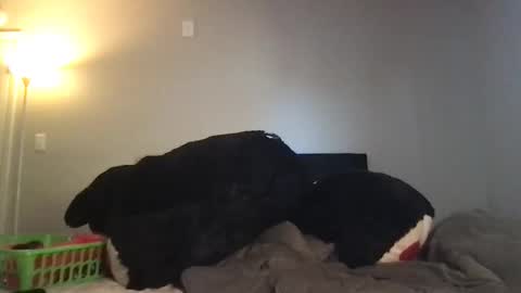 Rosie online show from 03.03.26