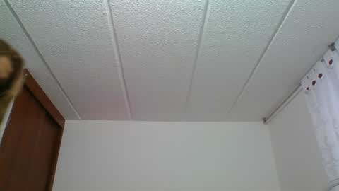 Rossana  online show from 12.30.24