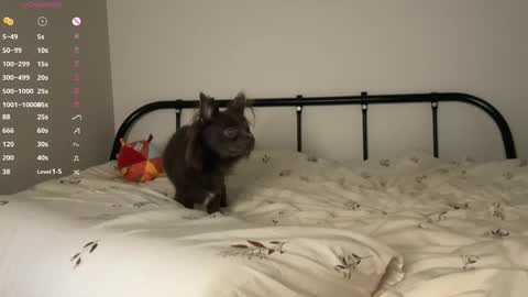  - my telegram channel online show from 10.23.25