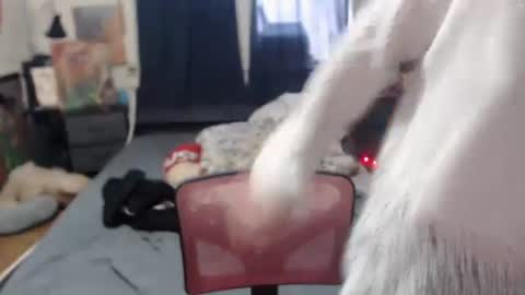 Silver online show from 02.16.25