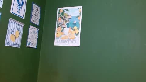 Snapshot of roxiehood chatting on 02.04.26 Roxie online show from 02.04.26