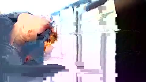 rushover63 online show from 03.03.25