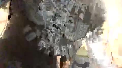 Ryland online show from 01.04.25