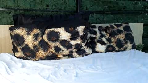 ryanstorm1 online show from 10.24.25