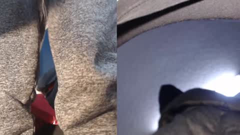 Snapshot of ryushi009 chatting on 01.21.25 Ryushi009 online show from 01.21.25