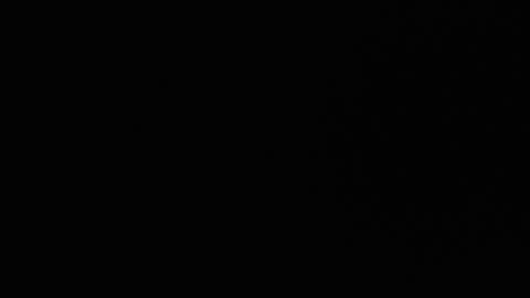 Snapshot of ryushi009 chatting on 01.24.25 Ryushi009 online show from 01.24.25