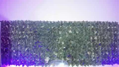 Snapshot of sabinamerchetti_ chatting on 03.17.26 Sabina Merchetti online show from 03.17.26