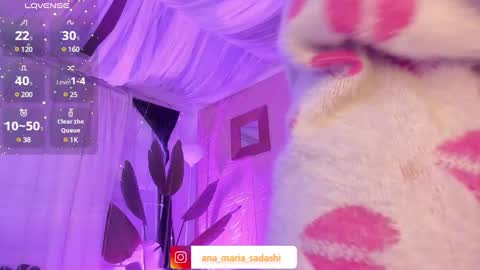 Snapshot of sadashi_moon chatting on 01.29.25    online show from 01.29.25