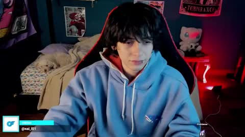 Snapshot of sai_l chatting on 01.11.25 SAI online show from 01.11.25