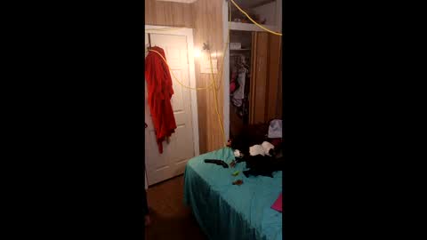 PupTwink online show from 03.01.26