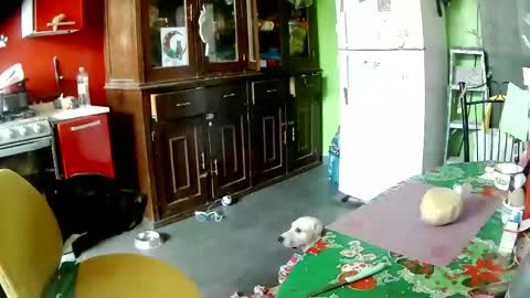 Snapshot of sailor_ruby7 chatting on 05.07.26 ruby chocoholic cakeholic coffeeholic cookieholic online show from 05.07.26