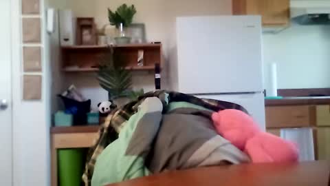 Snapshot of salis1981 chatting on 10.16.25 salis1981 online show from 10.16.25