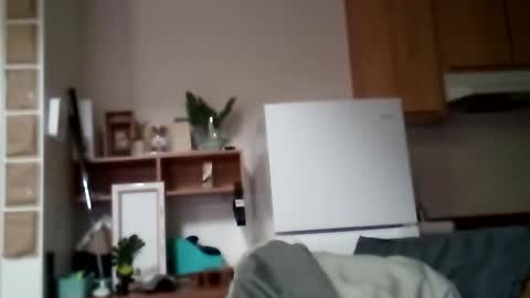 salis1981 online show from 11.12.25