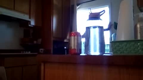 salis1981 online show from 02.12.26