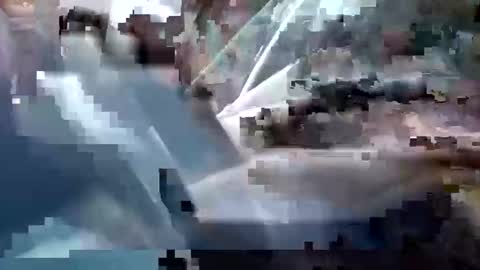 Snapshot of sam223382879 chatting on 12.25.24 sam223382879 online show from 12.25.24