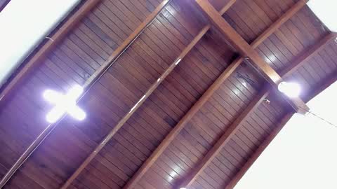 Sofia  online show from 12.06.24