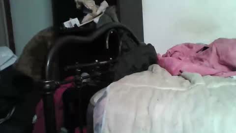 Samedisamedi1nouveau online show from 12.05.25