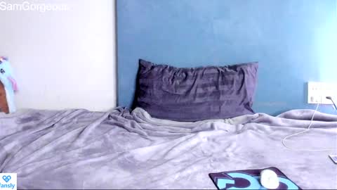 Snapshot of samgorgeous chatting on 12.15.24 Fansly - Top4fans online show from 12.15.24