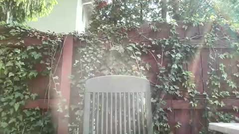 Snapshot of sammieplays chatting on 05.17.26 Playful Sammie online show from 05.17.26